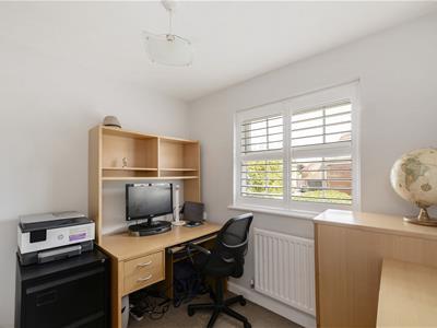 Picture 19